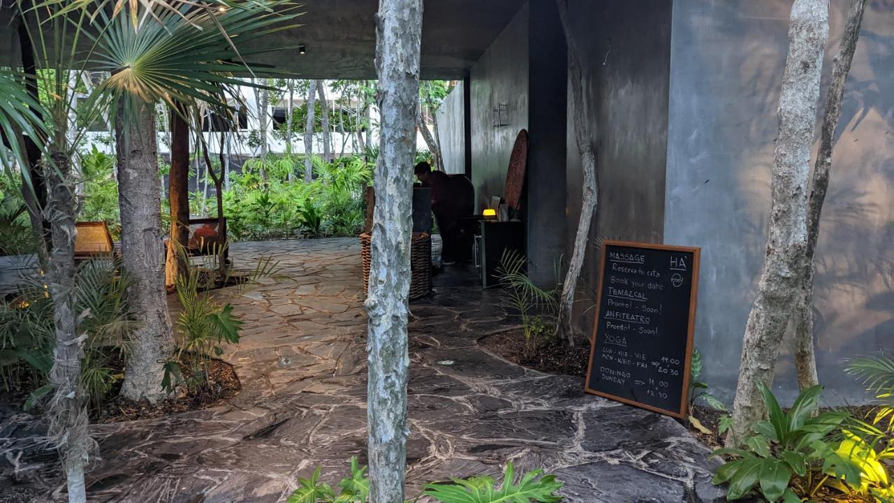 Appartement Exclusive Penthouse By Famous Interior Designer By Yeah à Tulum Extérieur photo