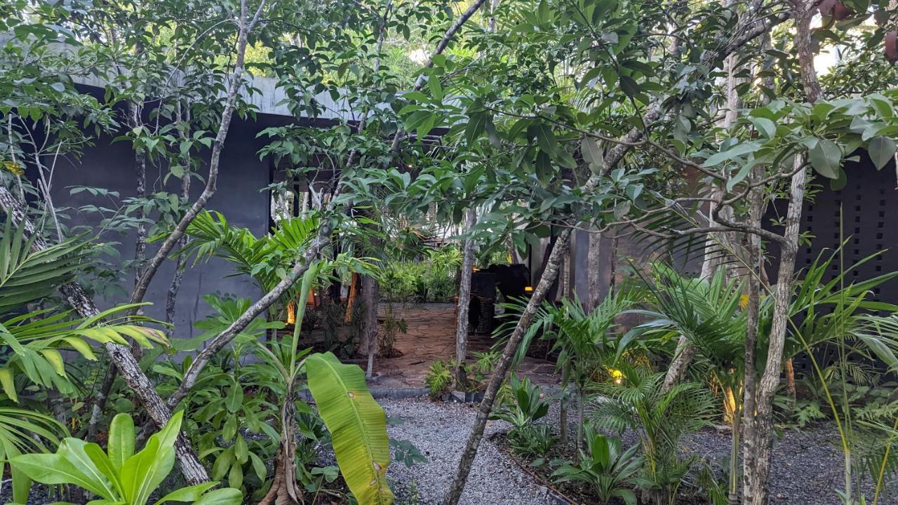 Appartement Exclusive Penthouse By Famous Interior Designer By Yeah à Tulum Extérieur photo
