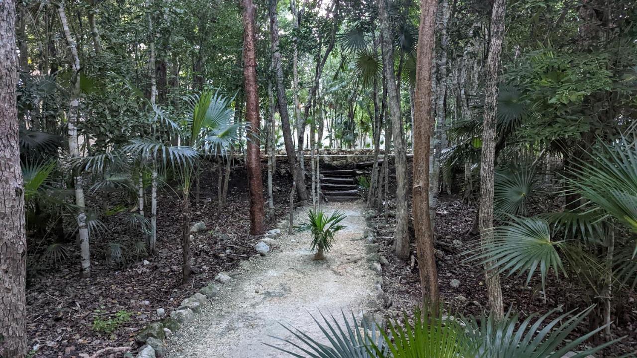 Appartement Exclusive Penthouse By Famous Interior Designer By Yeah à Tulum Extérieur photo